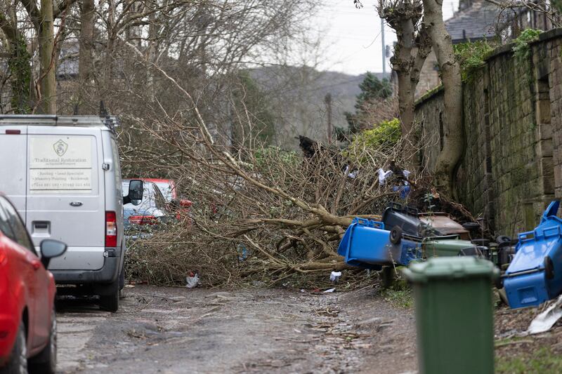 Fallen trees block a street in the aftermath of a tornado in Stalybridge, England. Photograph: Ryan Jenkinson/Getty Images