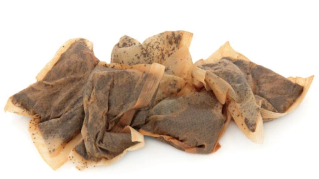 ‘ “The taste of paper!” he would rave. “Tea dust! Disgusting!”.’ Photograph: iStockphoto