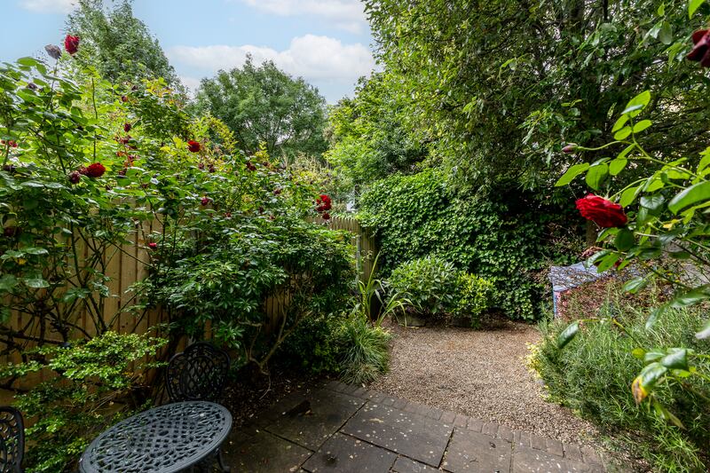 Back garden