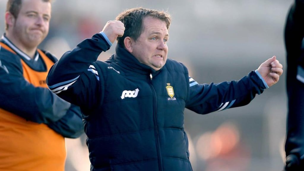 Clare manager Davy Fitzgerald during the game. Photograph: Donall Farmer/Inpho