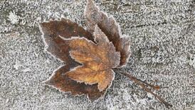 Baby it’s cold outside