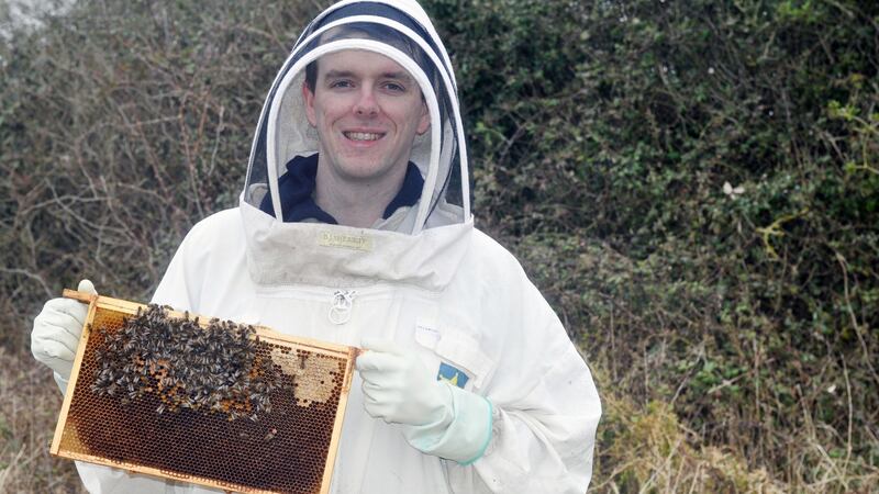 Beekeeper Barry O’Rourke: From March to September, things become busier and  beekeepers need to visit their hives once per week.
