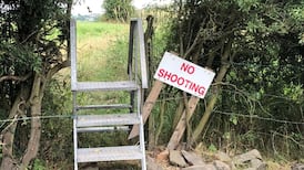 Pointed reference – Frank McNally on the importance of being salient