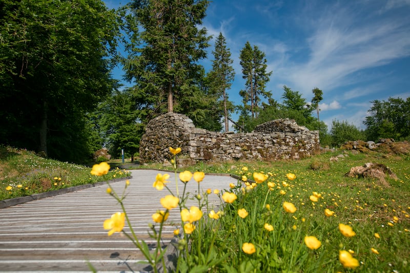 Walking trail, Cavan Burren Park, Co Cavan