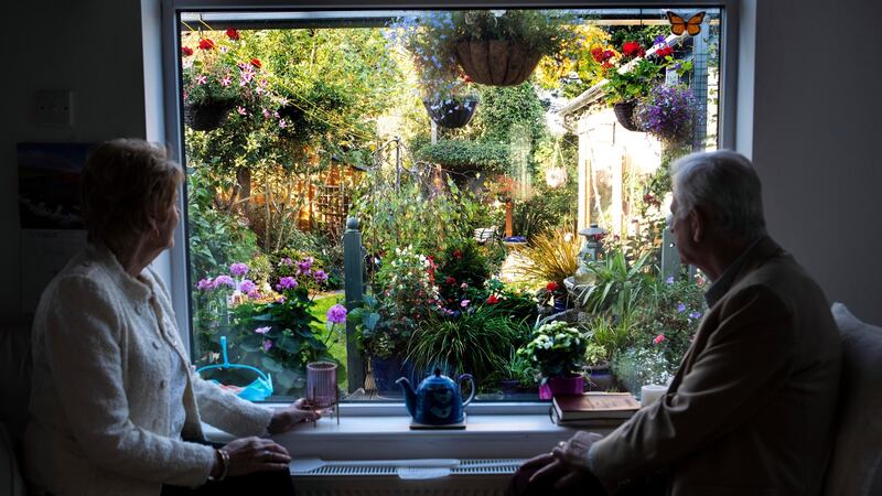 Owen and Claire Connolly look out from the back window to their garden in Dundrum. Photograph: Damien Eagers