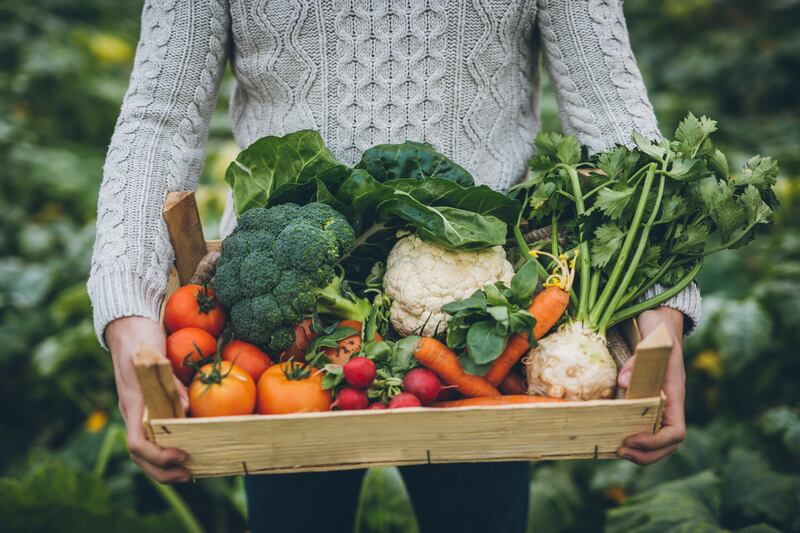 'The anticipation of planting seeds, watching something grow and getting to pick and eat it at exactly the right time is wonderful,' says Mary