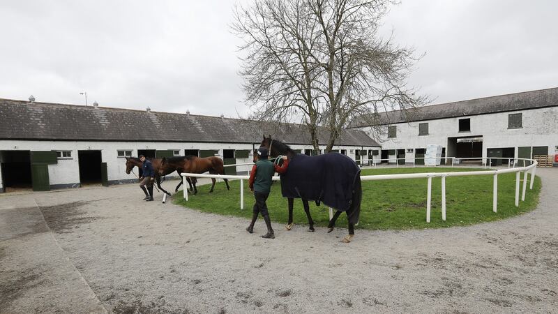 Stables in use during the renovation. Photograph: Lorraine O’Sullivan