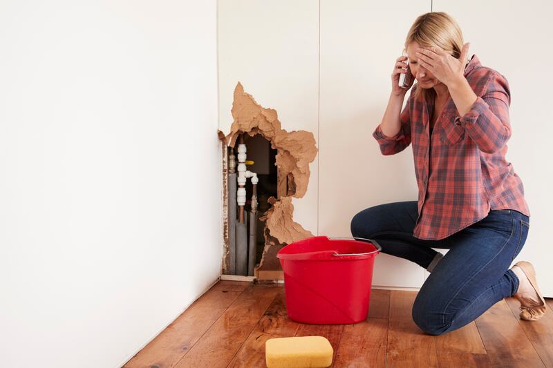 The Kildare-based expert says that preparation is key when it comes to any DIY jobs, and it is important to have the right tools and measurements before you start