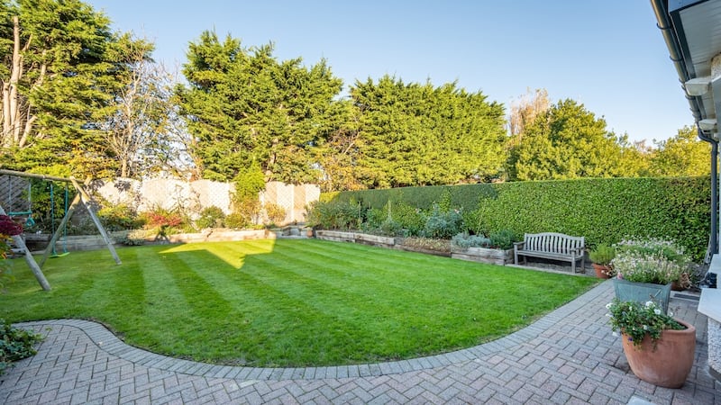 Back garden