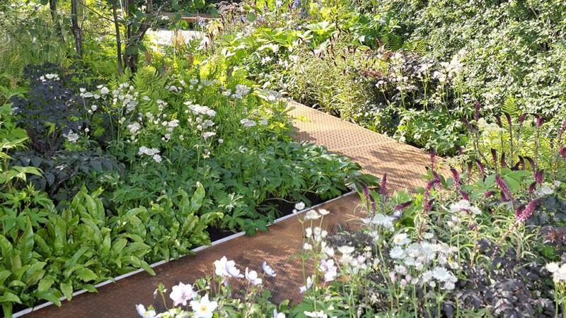 Hugo Bugg’s RBC Waterscape garden. Photograph: Andy Rain