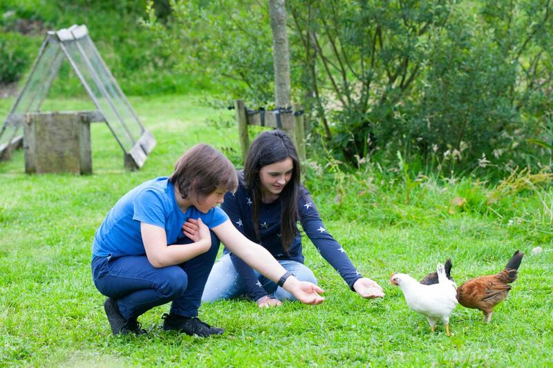 The Irish family whose farming holiday gave them a new way of life