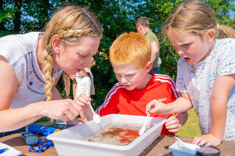 The Ahare River and Biodiversity Development Group helps kids search a kick sample for signs of life at the Castletown River and Nature Festival, held during National Heritage Week. Photograph: Pedro Souza 
