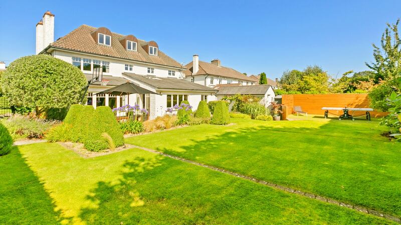 Back garden