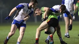 Steed has the last word as IT Carlow reach their first Sigerson Cup final