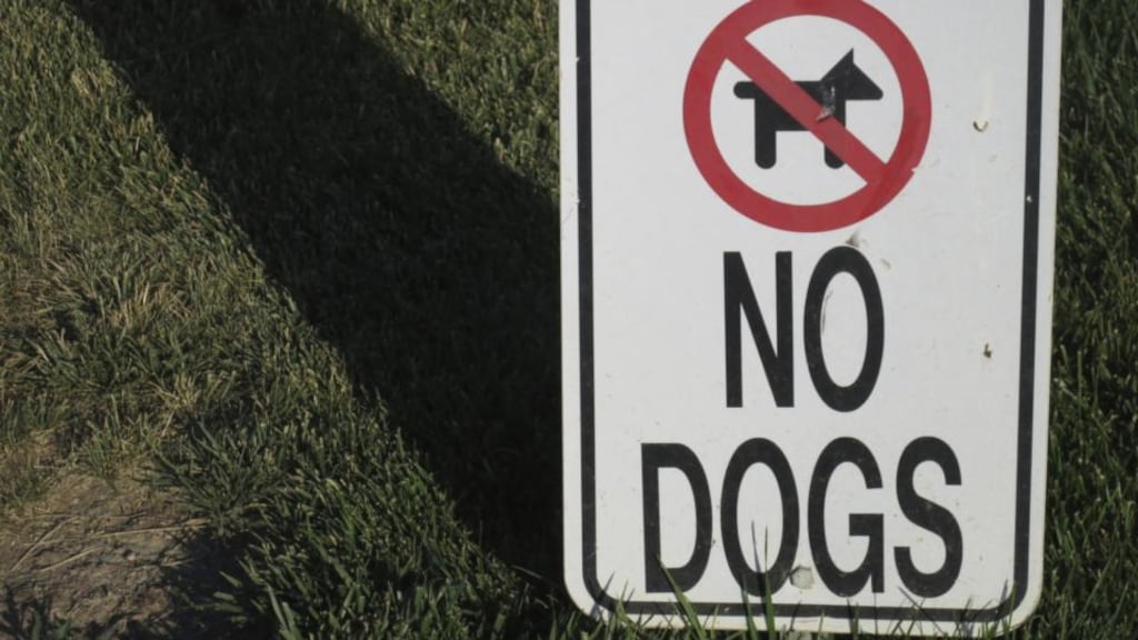 One of the house rules for a development says: “No animals which cause a nuisance and no dogs.” But what is the status of this “rule”? And has it any legal weight? Photograph: Thinkstock