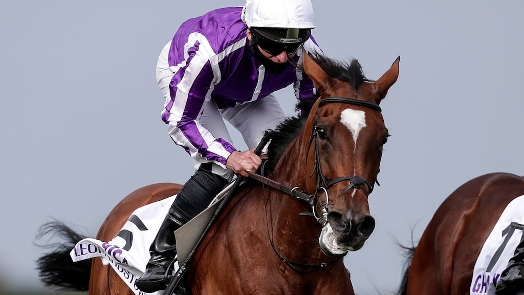 The Aidan O’Brien-trained Magical  has been made a 5-2 favourite for Saturday’s Breeders’ Cup Turf. Photograph: Laszlo Geczo/Inpho