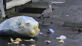 Hoarding waste is common say local authorities
