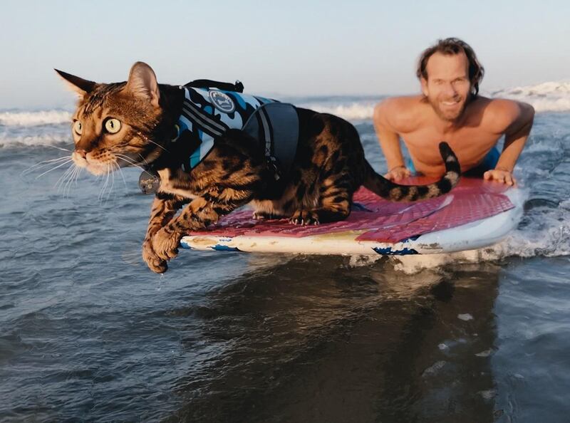 Cat People