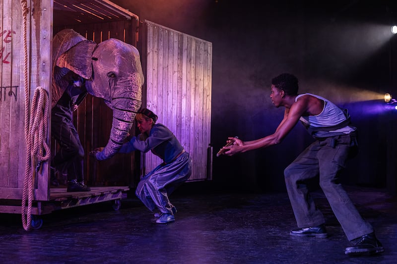 The Vanishing Elephant: 'Our scale has shifted, and our creative ambition has shifted with it,' says Cahoots artistic director Paul McEneaney