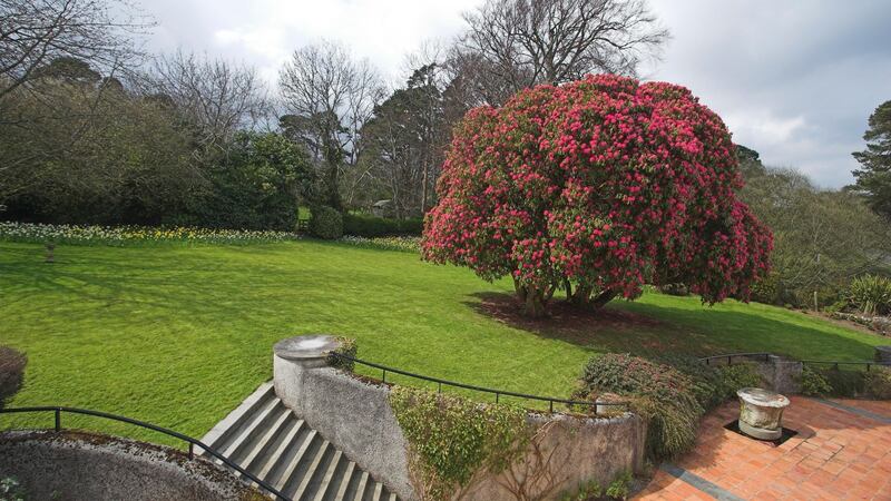 Ballinteskin Stud features a good-sized garden with lots of mature trees and bushes to one side of the house.