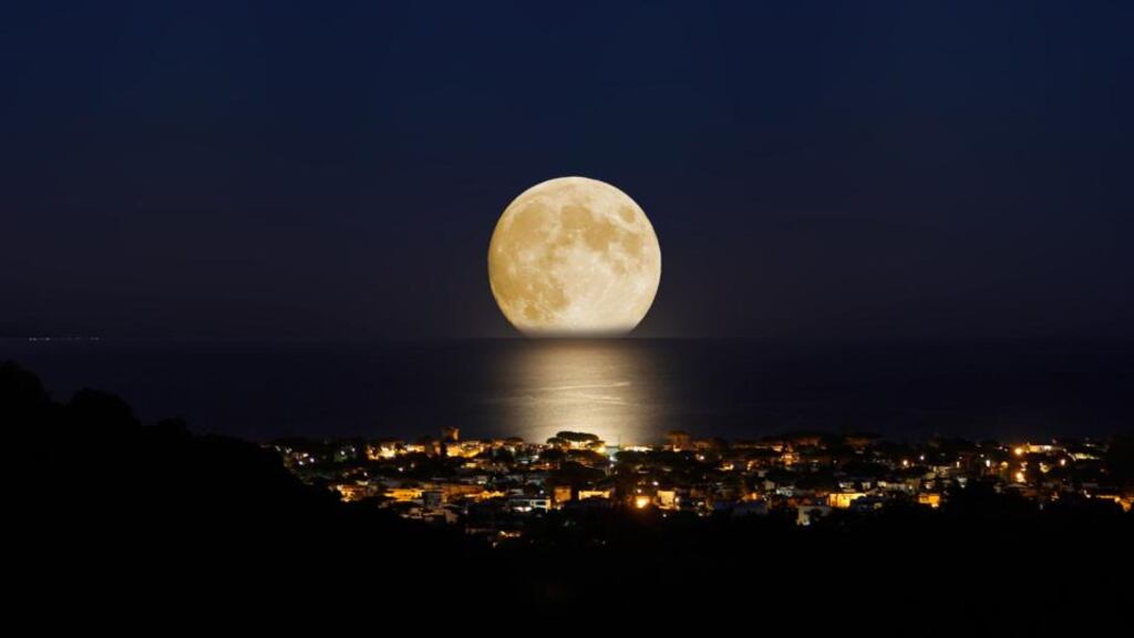 Photograph: Luca Libralato Photography/Getty Images
