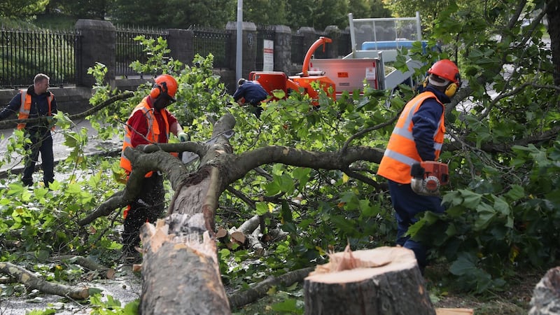 Workmen deal with a fallen tree on Finglass Road by Glasnevin Cemetary in  Dublin. Photograph: PA