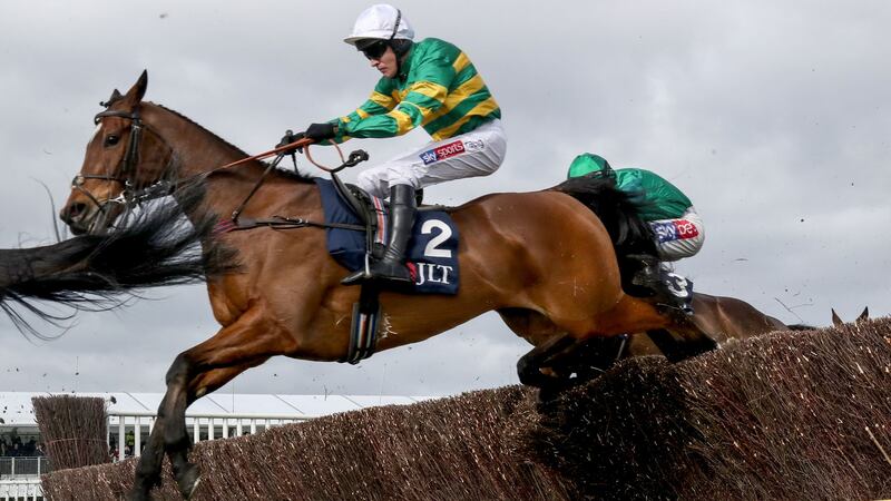 Defi Du Seuil has been beaten just once in seven starts around Cheltenham