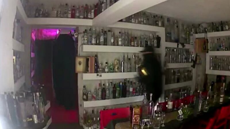 CCTV footage shows a man stealing the bottle of vodka from Cafe 33 in Copenhagen last Tuesday. Photograph: Brian Ingberg/EPA