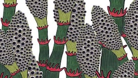 Part Chimp: A great noise and a reference to Bouncer from ‘Neighbours’