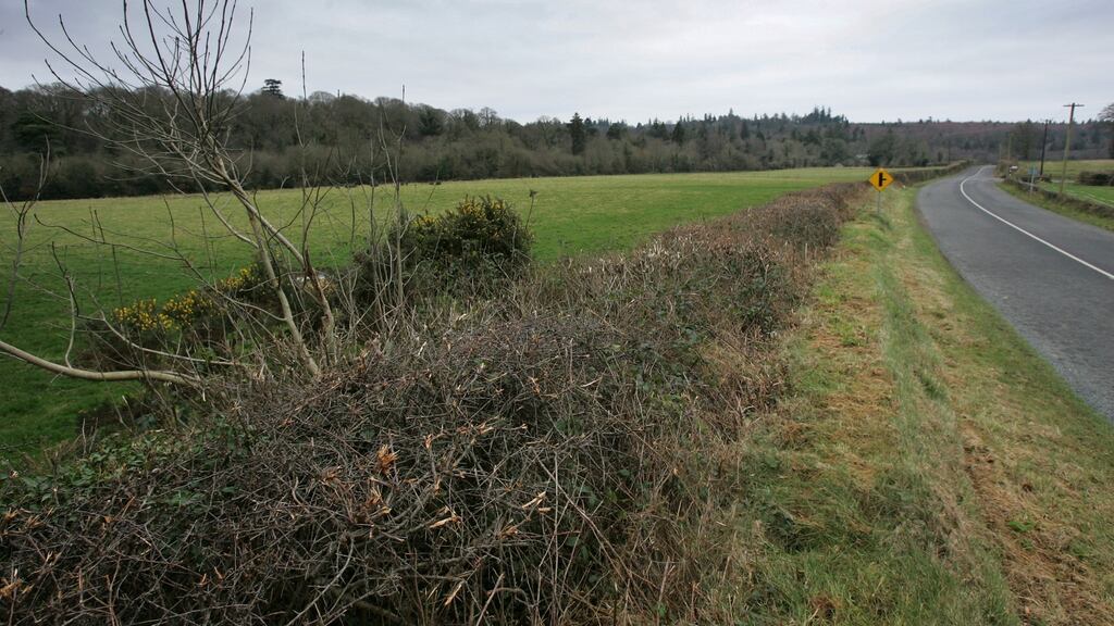 The Heritage Bill proposes to allow the cutting of hedgerows from August 1st each year, rather than from September 1st. Photograph by Frank Miller