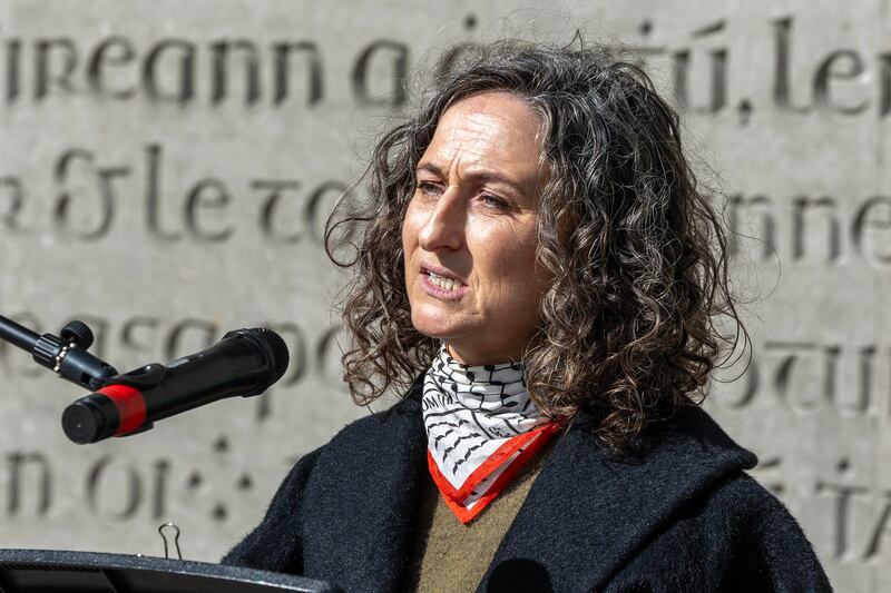 Sinn Féin MEP Lynn Boylan: mortifying display at a European Parliament committee meeting. Photograph: Conor Ó Mearáin/Collins