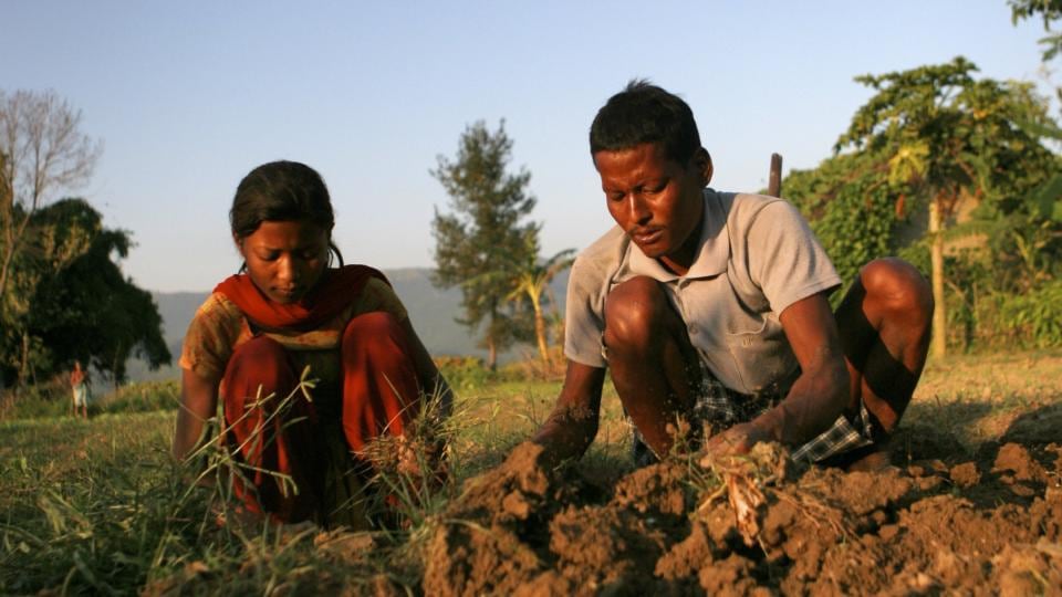 Nepal portraits: the Choudhary family, who escaped the kamalari system after Plan gave them land, weed crops. Photograph: Alf Berg/Plan