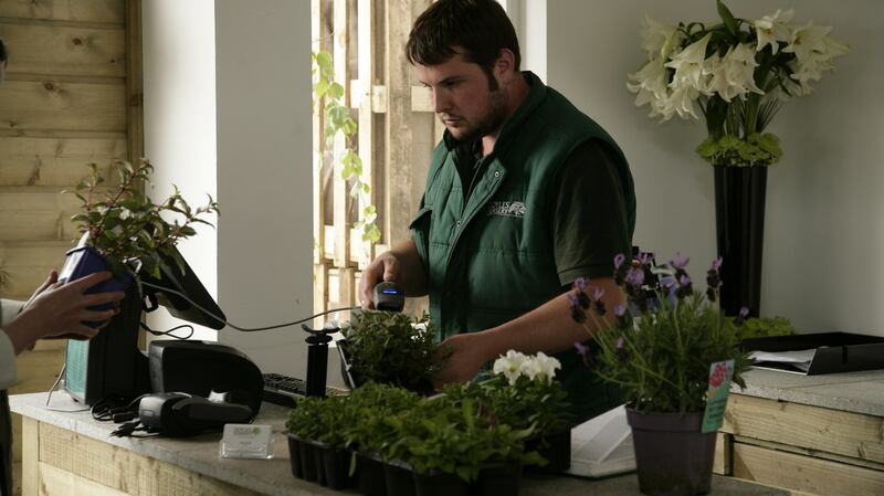 Sean Doyle at Doyle’s Nurseries, Cabinteely: the thin surgical gloves that customers now see every shop assistant wearing won’t be much help in garden centre.