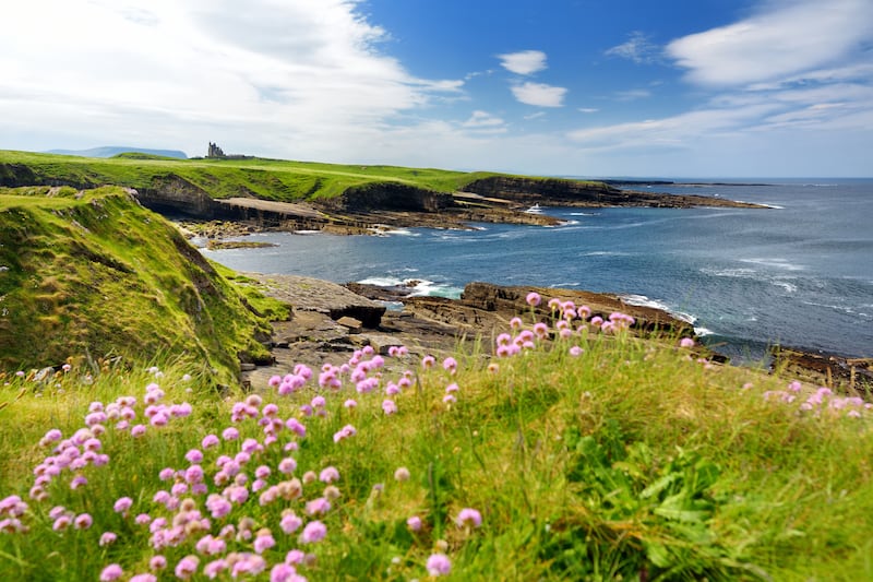 Ireland in summer is incomparable