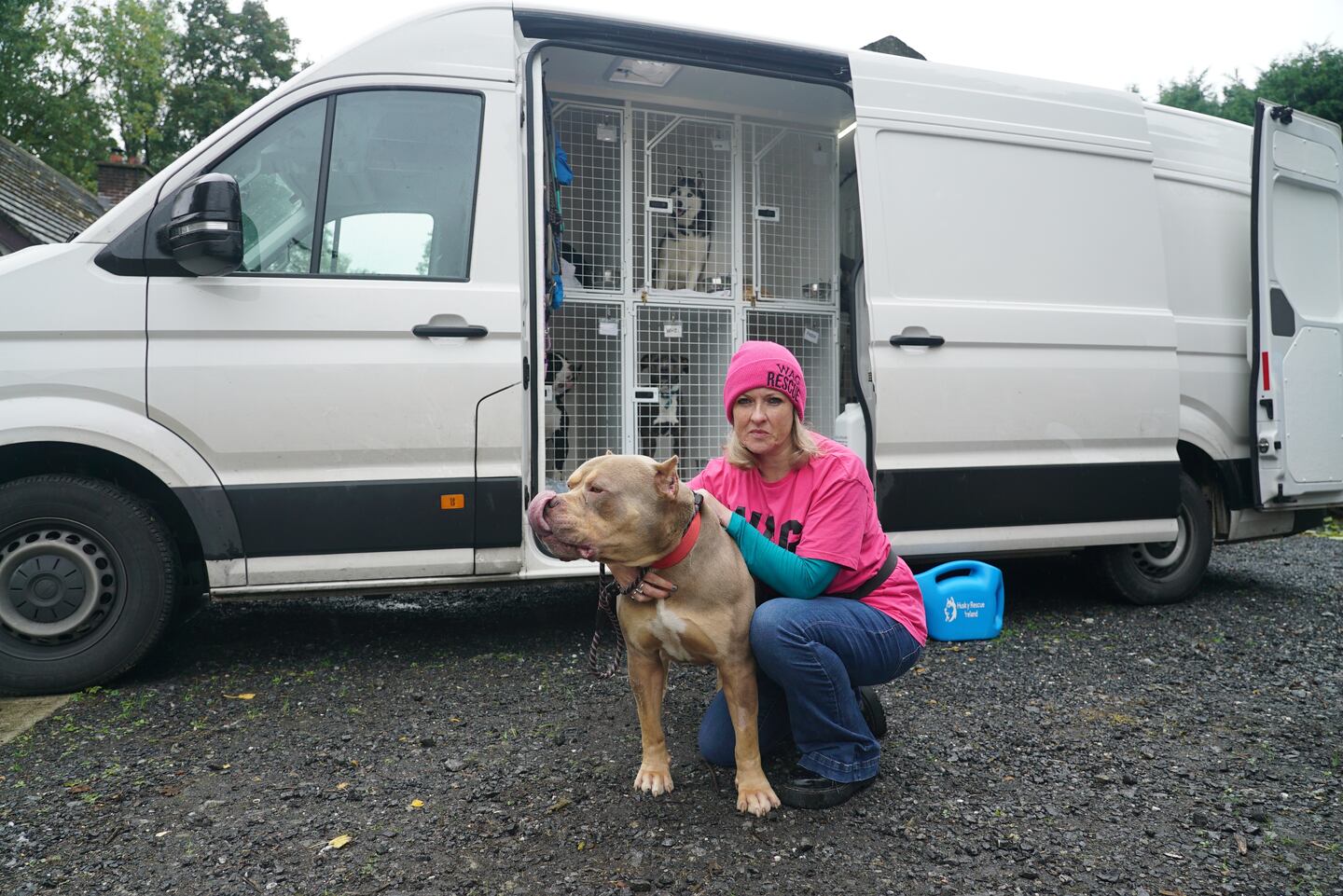 Death or Sweden XL bully dogs shipped overseas before ban next week
