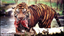 Fota gets go-ahead for €7 million expansion