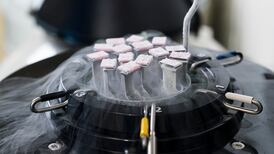 State-funded IVF: Hands of bean counters all over crude cut-off criteria