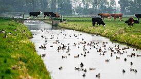 UN warns of climate ‘catastrophe’ as countries’ commitments fall short