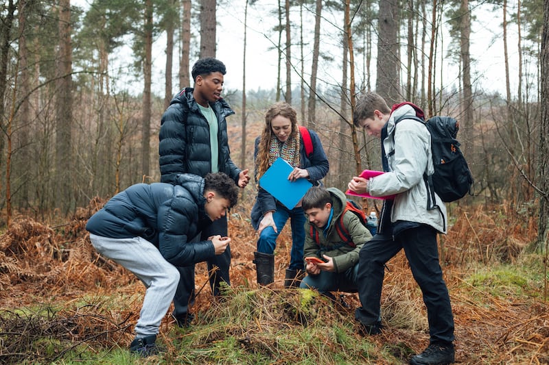 School should incorporate nature more. Photograph: iStock