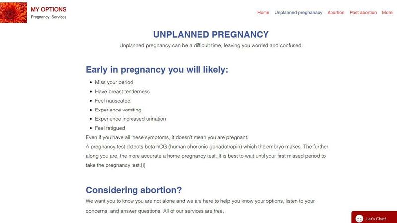 A screengrab from the  Eamonn Murphy owned ‘www.myoptions.website’. Photograph: The Irish Times