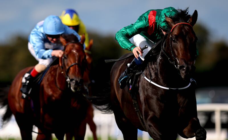 Ben Coen onboard Alakazi comes home to win the Solonaway Stakes at Leopardstown last September. Photograph: Ryan Byrne/Inpho