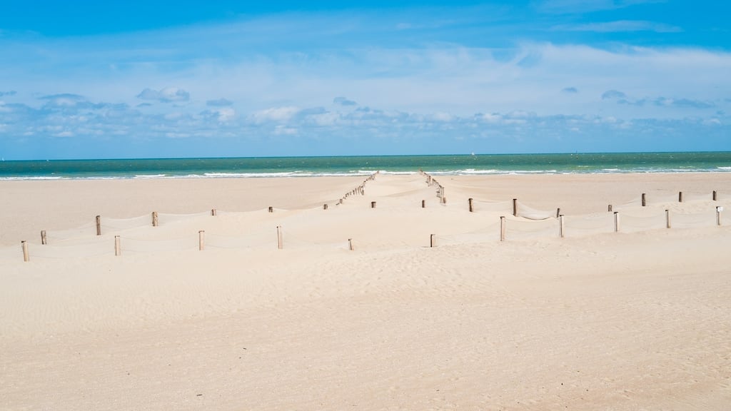 Military resources and civilian boats have been involved in the rescue operation after the vessel was seen in difficulty near Dunkirk. File photograph: iStock