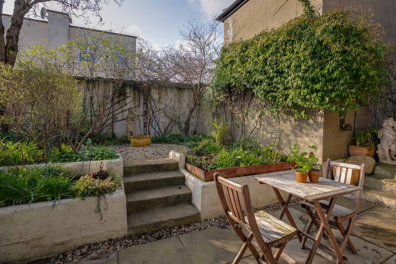 Back garden