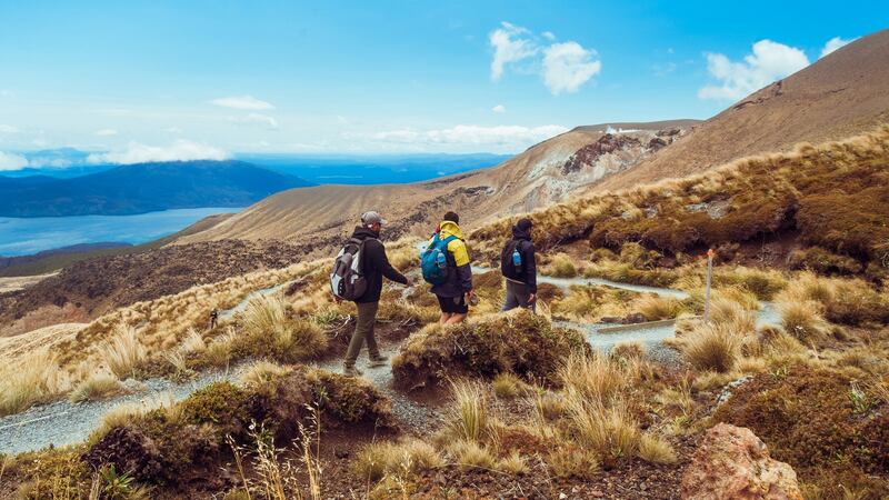 The Tongariro Alpine Crossing is a 20km, nine-hour trek through stunning landscape. Photograph: iStock