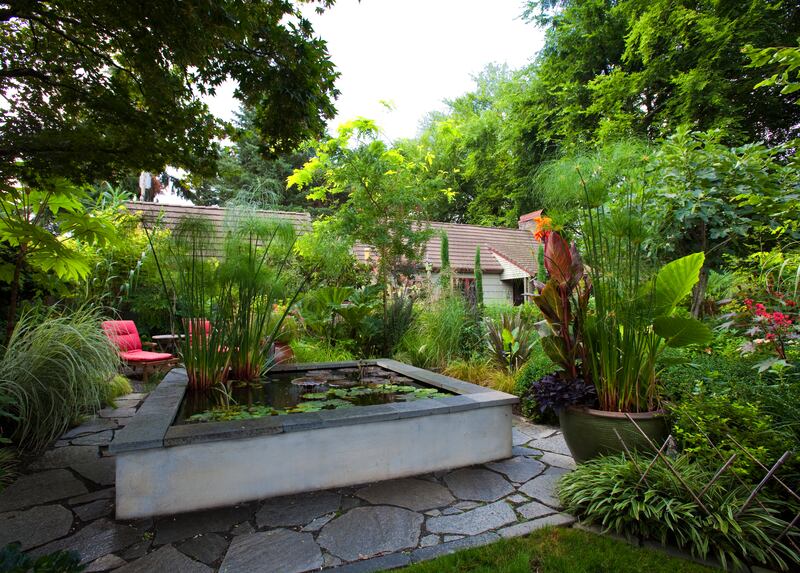 A landscaped garden with a koi pond. Photograph: Getty