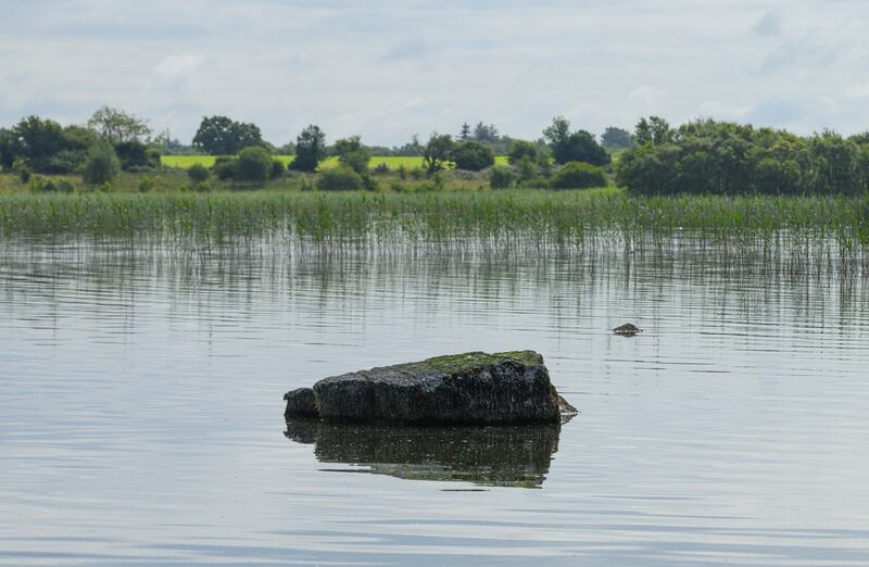 The five-year Lough Carra Life project will work with farmers, landowners and local community groups, to improve water quality and restore the marl lake habitat. Photograph: Michael McLaughlin