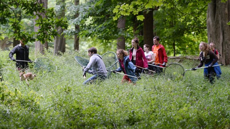 Members of the OPW working with students from UCD conduct the annual tagging of fawns in Phoenix Park, Dublin. Photograph: Alan Betson / The Irish Times