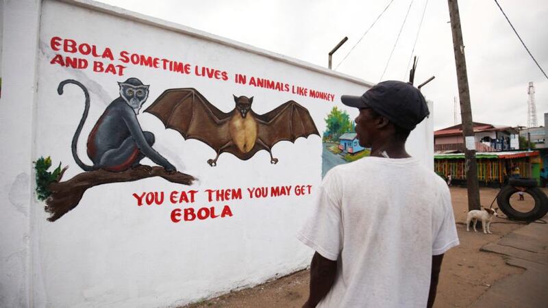 epa04495913 A Liberian man looks at a painting of the Ebola virus carriers part of an Ebola sensitization campaign painted on a wall in downtown Monrovia, Liberia 19 November 2014. The government has increased Ebola sensitization despite the reduction of number of cases in the country. Ebola has infected around 14,000 people in West Africa with more than 5,000 deaths.  EPA/AHMED JALLANZO