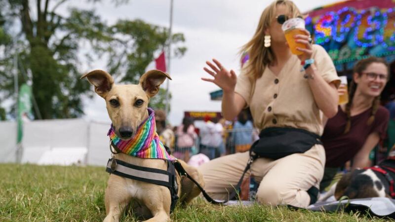 Toni O’Rourke and her lurcher Phoebe at Kaleidoscope Festival in Russborough House.  Photograph: Fran Veale