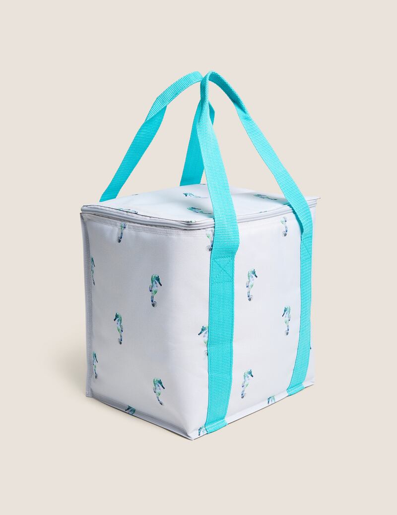M&S nautical foldaway picnic cooler bag, €13